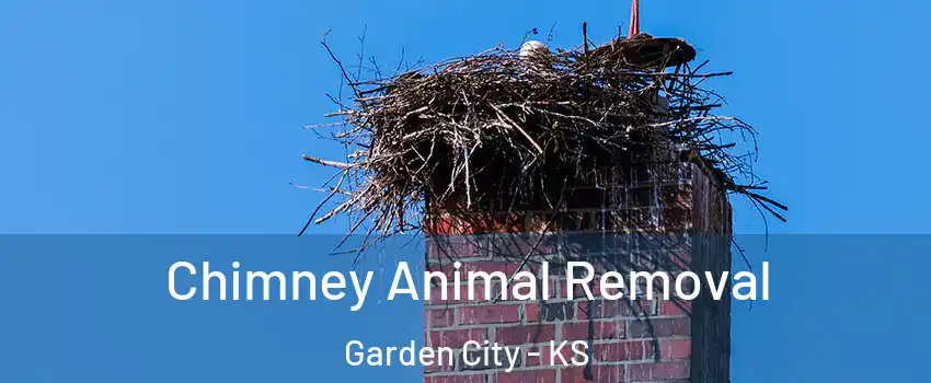 Chimney Animal Removal Garden City - KS