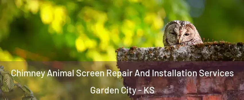  Chimney Animal Screen Repair And Installation Services Garden City - KS