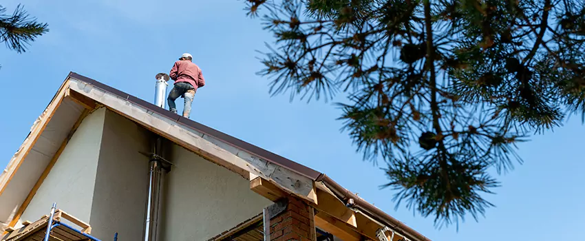 Birds Removal Contractors from Chimney in Garden City, KS